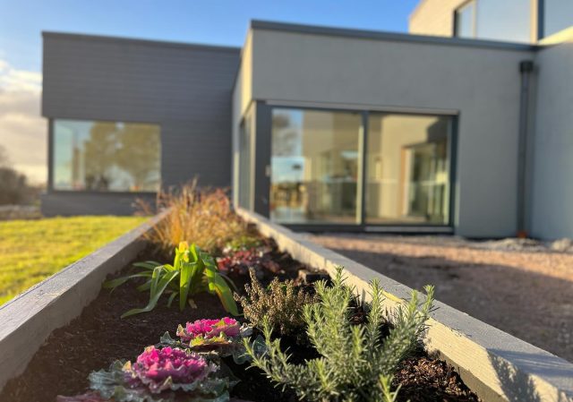 Green Shoots
As we approach the end of Winter according to the Gaelic calendar of Imbolc or Brigid’s day, the days are definitely getting longer, but still not warm enough to shed the thermal layers and down jacket yet. I’m itching to get back out to work on the garden, but it still feels a bit daunting, with the yellow and brown surroundings still in hibernation.
 
We started the first stage of planting in October and now its lovely to see the bulbs emerging despite the chill of the winter and the onslaught of storms. Dangan nursery in Galway were very helpful with advice on plants and layout, hardy plants are needed that can deal with our robust conditions. 
 
There is a mixture of agapanthus (tall purple flowers bloom mid-summer), trailing rosemary, carex testacea grass, heathers, heuchera (maroon leaves), sea breeze (daisies), campanula (purple flower), cabbages (these will be replaced with summer bedding plants). I also planted miniature tulips, Iris and daffodils, these will be hopefully be less vulnerable to the wind.
 
Cian made the planter box last September from timber sleepers, we treated them with bitumen paint on the inside and insecticide on the outside and then painted with an outdoor furniture paint. We put large stones in the base and sheets of cardboard, then filled with 3 tonnes of topsoil. Once I had finished the planting, I covered the top layer with composted bark to give a nice clean finish and inhibit the growth of weeds. 
 
There are lots of options to finish the top layer from putting a weed barrier and finishing with a layer of stones, I’m not experienced enough yet to know what looks the best and gives most flexibility. It will be interesting to see once growth takes off in spring, how well the plants will fill out the space and what will deliver the most delight and learning through the seasons.
 
There is a list of garden projects for the year ahead including planting some larger trees, plants for the front of windows, entrance paving and planting a heather bed around the rockery. Wishing everyone a happy ‘anticipation of the Spring’ or Imbolc.
#imbolc #spring #gardening #brigidsday #greenshoots #planterbox #gardendesign